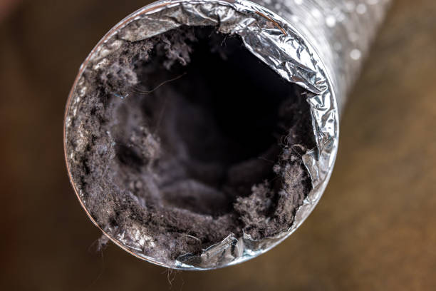 Best Best Air Duct Cleaning Company  in Big River, CA